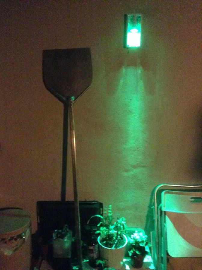 Saint-Gilles Brugmann443 Bed & Breakfast エクステリア 写真